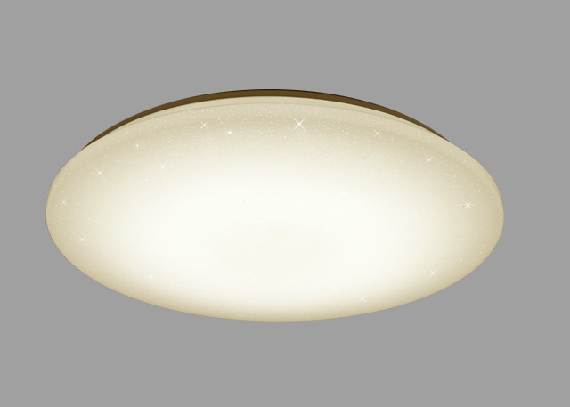 2000LM 24W LED Indoor Ceiling Lights Low Electricity Consumption Uniform Luminance